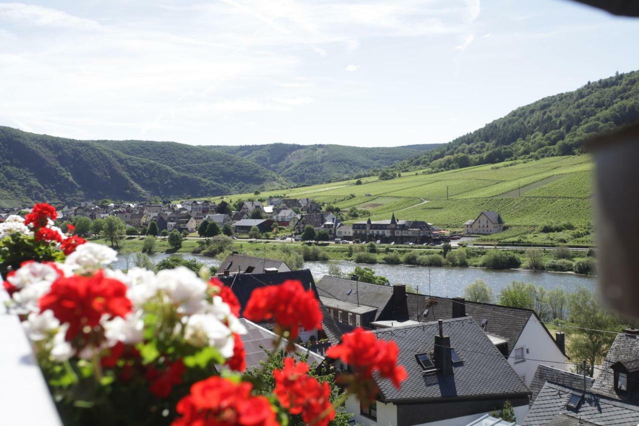 Ferienwohnung Moselblick-Stein Valwig Extérieur photo